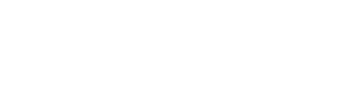 CarSoup